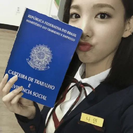CARTEIRA DE TRABALHO (K-POP) 😁