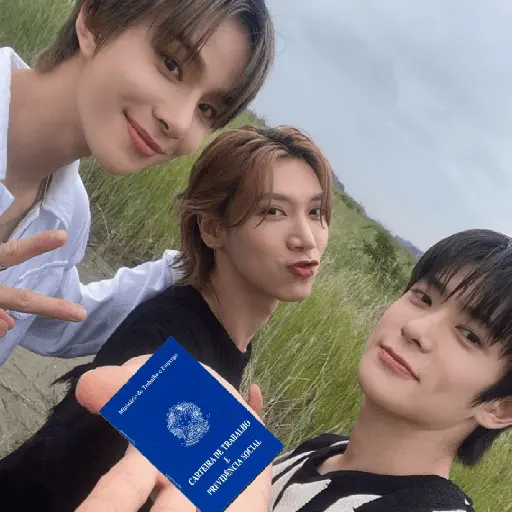 CARTEIRA DE TRABALHO (K-POP) 😁