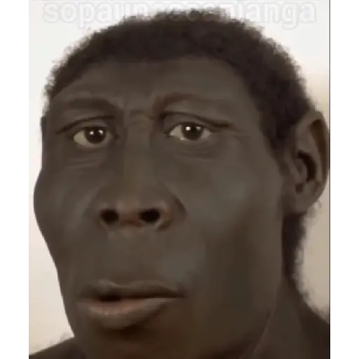 SOPANASCANJANGA MEME