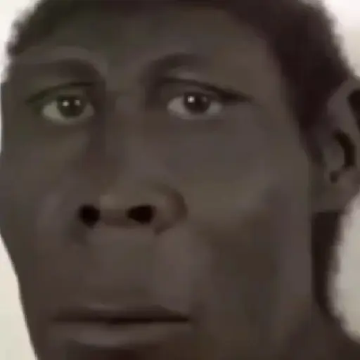 SOPANASCANJANGA MEME