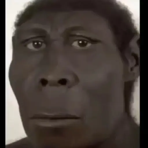 SOPANASCANJANGA MEME