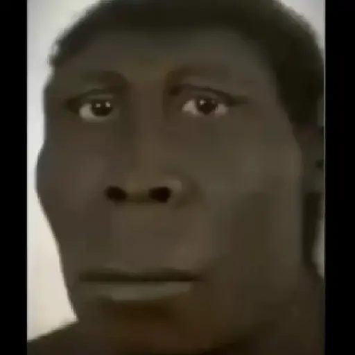 SOPANASCANJANGA MEME