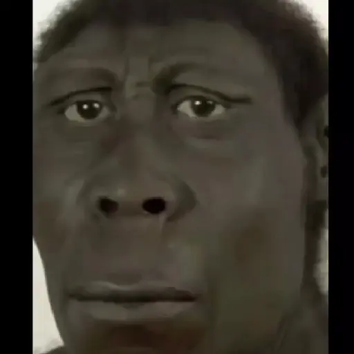 SOPANASCANJANGA MEME