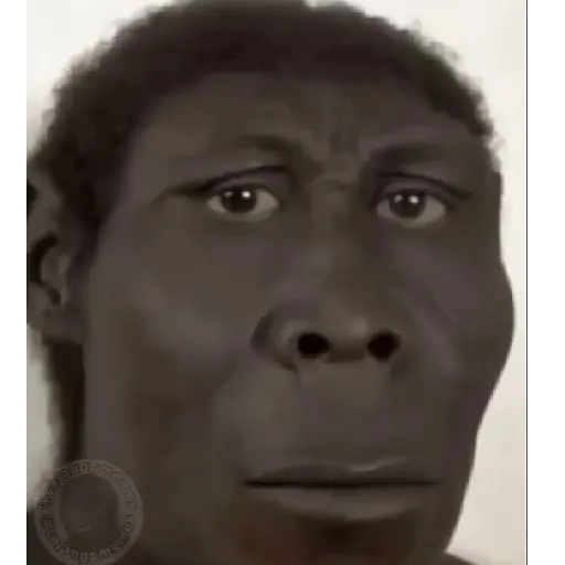 SOPANASCANJANGA MEME