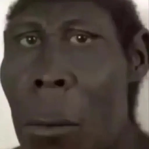 SOPANASCANJANGA MEME