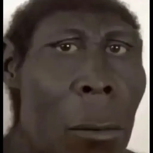 SOPANASCANJANGA MEME
