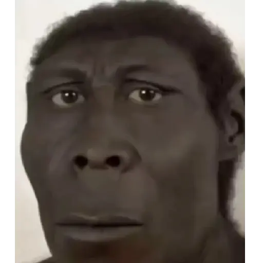 SOPANASCANJANGA MEME