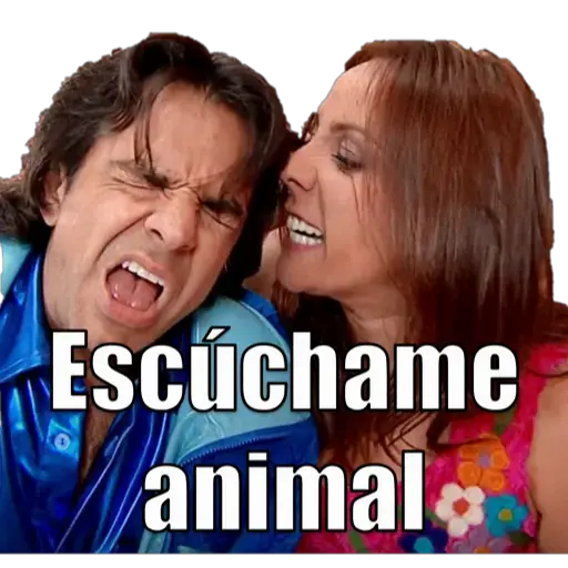familia peluche