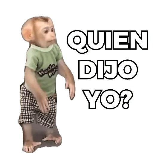 Changuitos Moods 🐒🦧