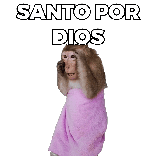 Changuitos Moods 🐒🦧 preview
