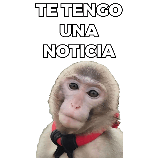 Changuitos Moods 🐒🦧 preview