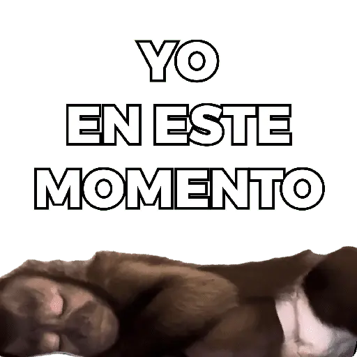 Changuitos Moods 🐒🦧