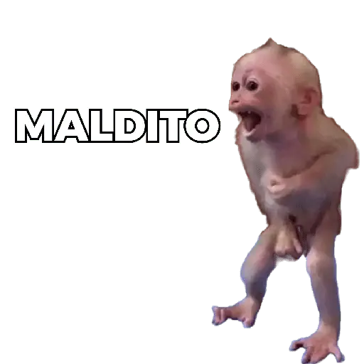 Changuitos Moods 🐒🦧