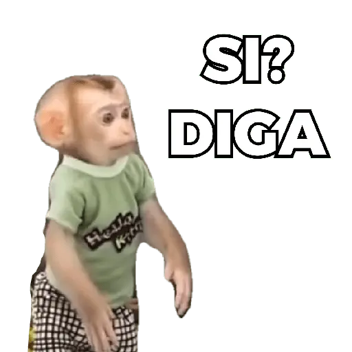Changuitos Moods 🐒🦧