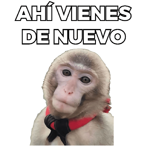 Changuitos Moods 🐒🦧 preview