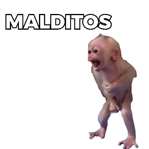Changuitos Moods 🐒🦧