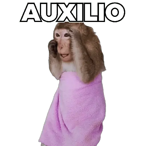 Changuitos Moods 🐒🦧