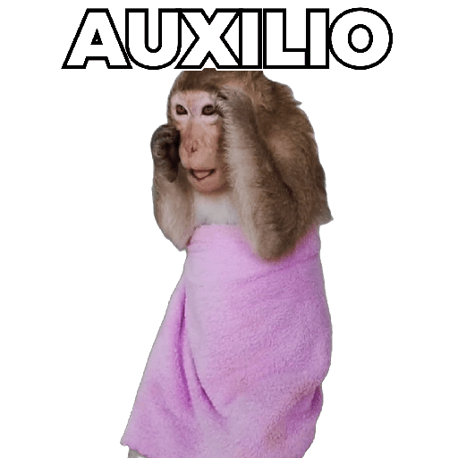 Changuitos Moods 🐒🦧 preview