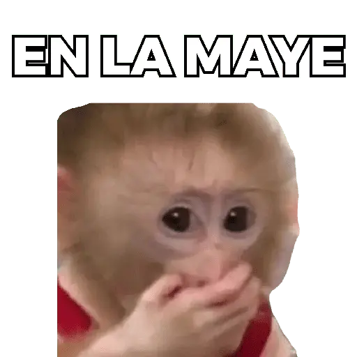 Changuitos Moods 🐒🦧