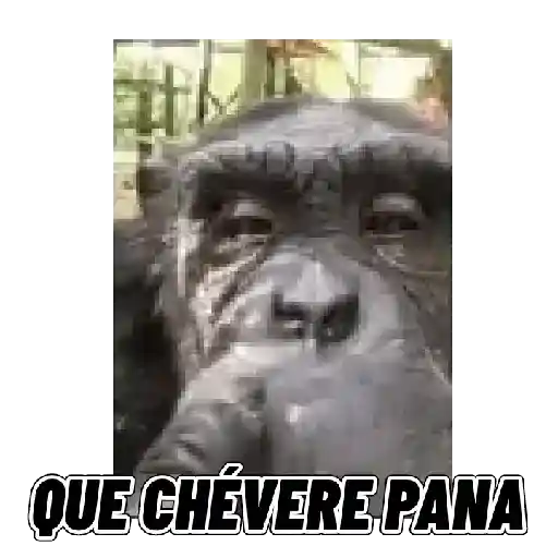 Changuitos mods 🐒🐵