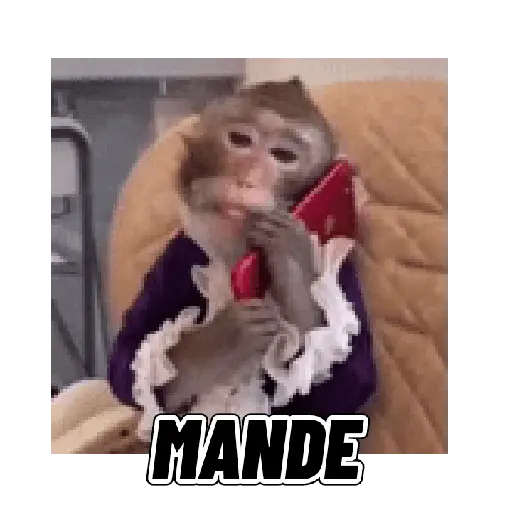 Changuitos mods 🐒🐵 preview