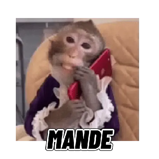 Changuitos mods 🐒🐵