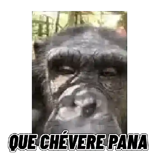 Changuitos mods 🐒🐵 preview