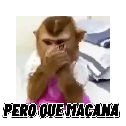 Changuitos mods 🐒🐵
