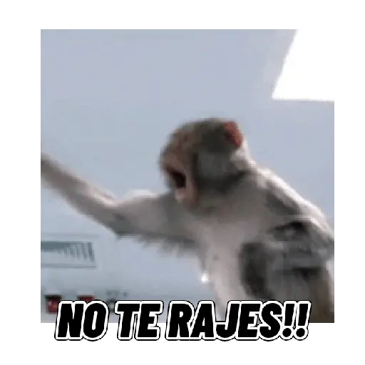 Changuitos mods 🐒🐵
