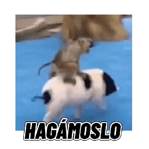 Changuitos mods 🐒🐵