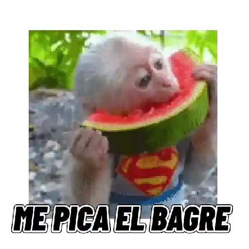Changuitos mods 🐒🐵 preview