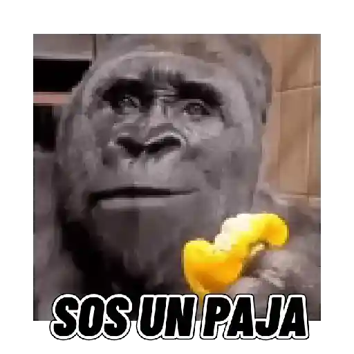 Changuitos mods 🐒🐵