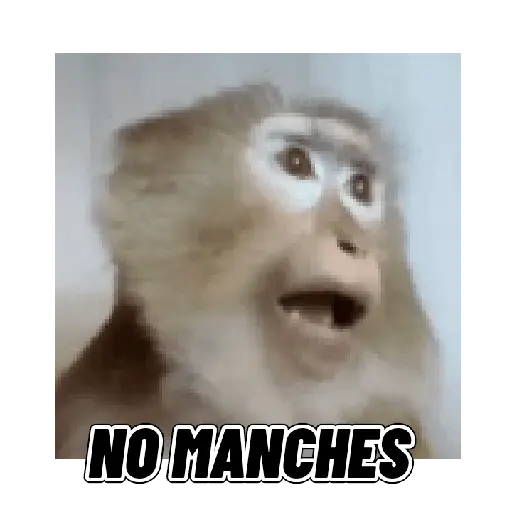 Changuitos mods 🐒🐵