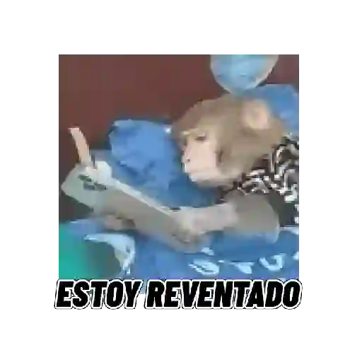 Changuitos mods 🐒🐵