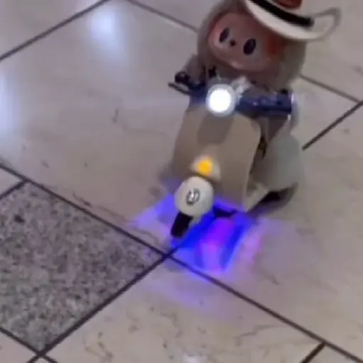 Labubu 😎