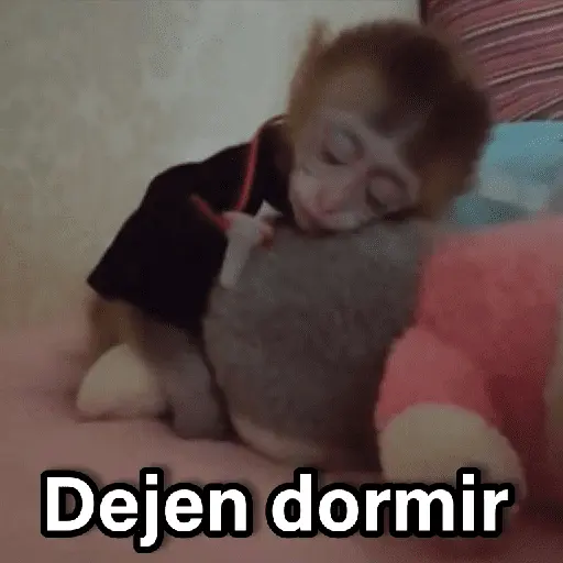 Changuitos 2🐒🍌