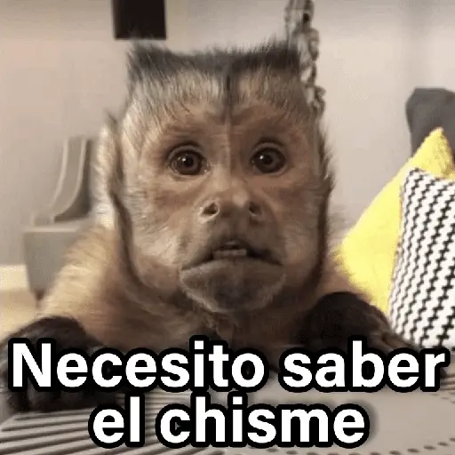 Changuitos 2🐒🍌