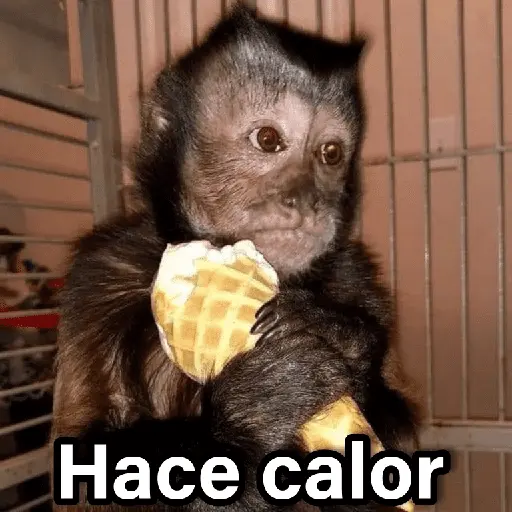 Changuitos 2🐒🍌