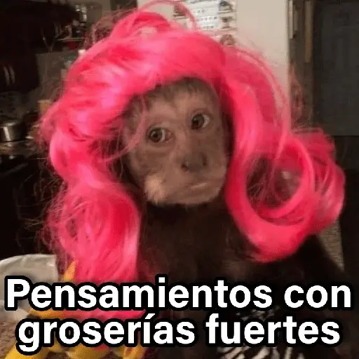 Changuitos 2🐒🍌