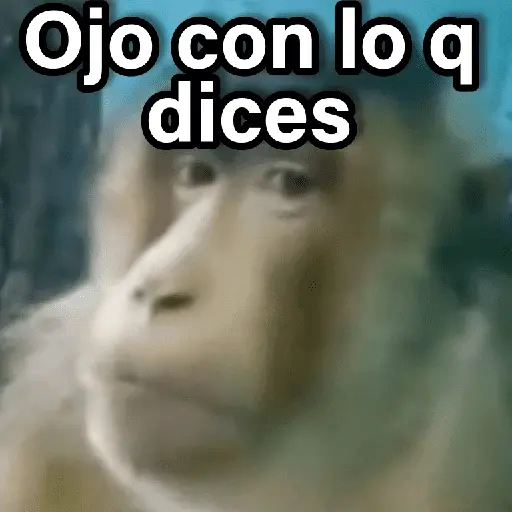 Changuitos 2🐒🍌