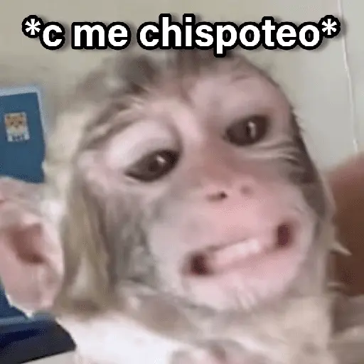 Changuitos 2🐒🍌