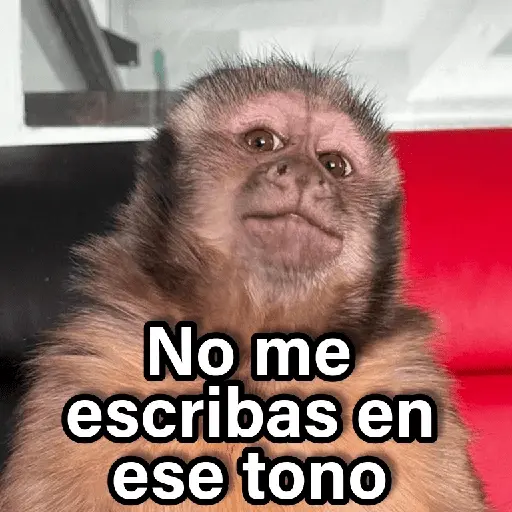 Changuitos 2🐒🍌