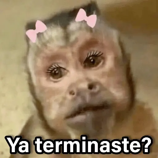 Changuitos 2🐒🍌