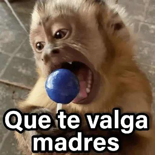 Changuitos 2🐒🍌