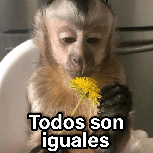 Changuitos 2🐒🍌 preview