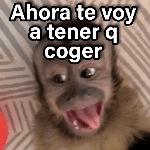 Changuitos 2🐒🍌