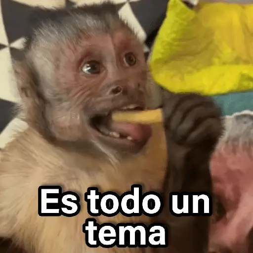 Changuitos 2🐒🍌