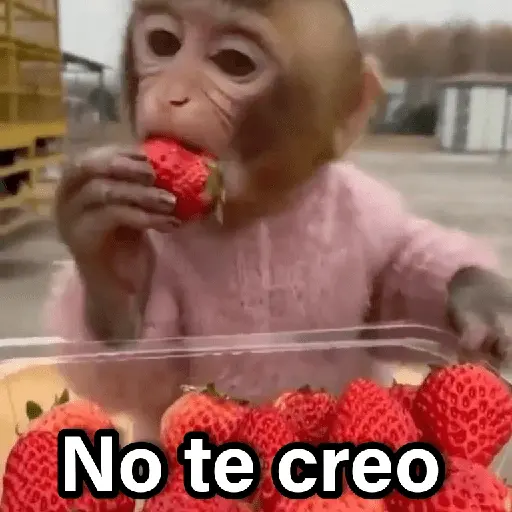 Changuitos 2🐒🍌