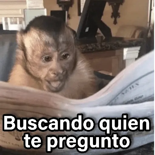 Changuitos 2🐒🍌