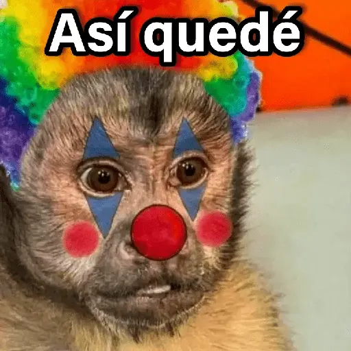 Changuitos 2🐒🍌